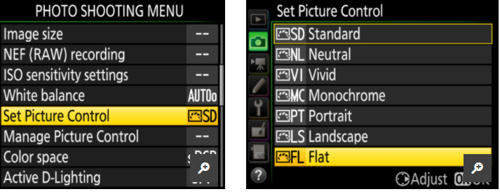 Best Nikon Picture Control Settings