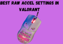 Best Raw Accel Settings in VALORANT