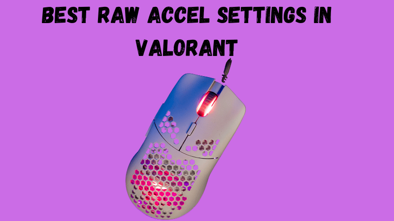 Best Raw Accel Settings in VALORANT